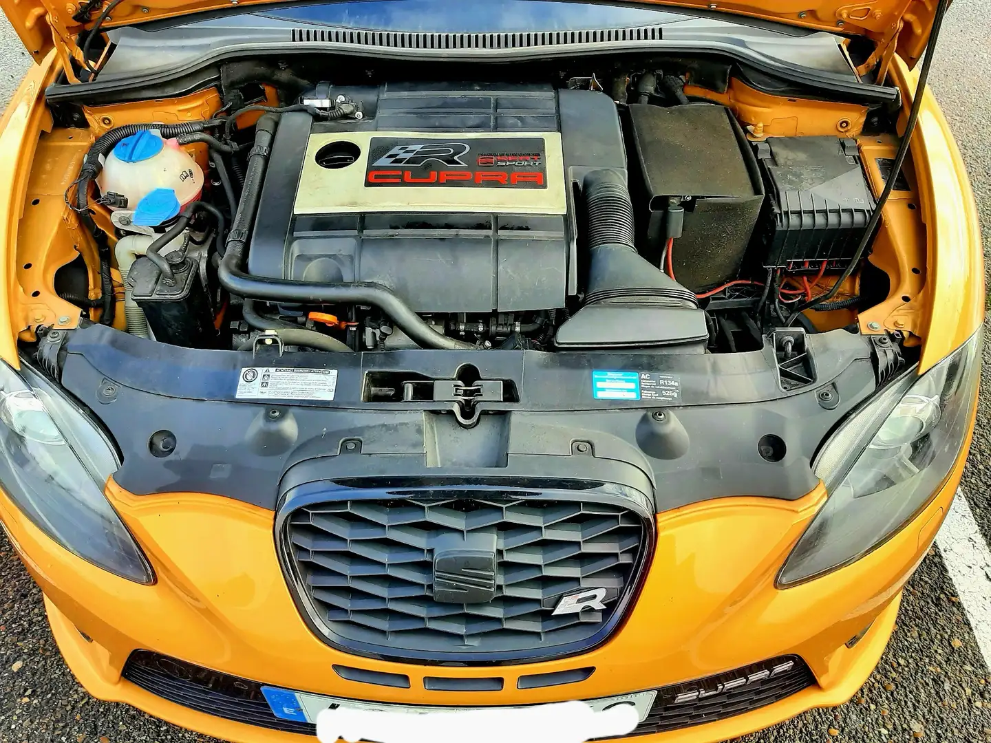 SEAT León 5F según presupuesto