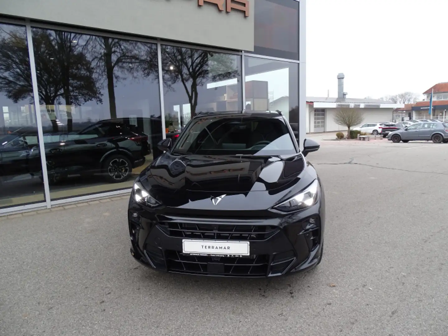 Cupra Terramar frente a sus rivales
