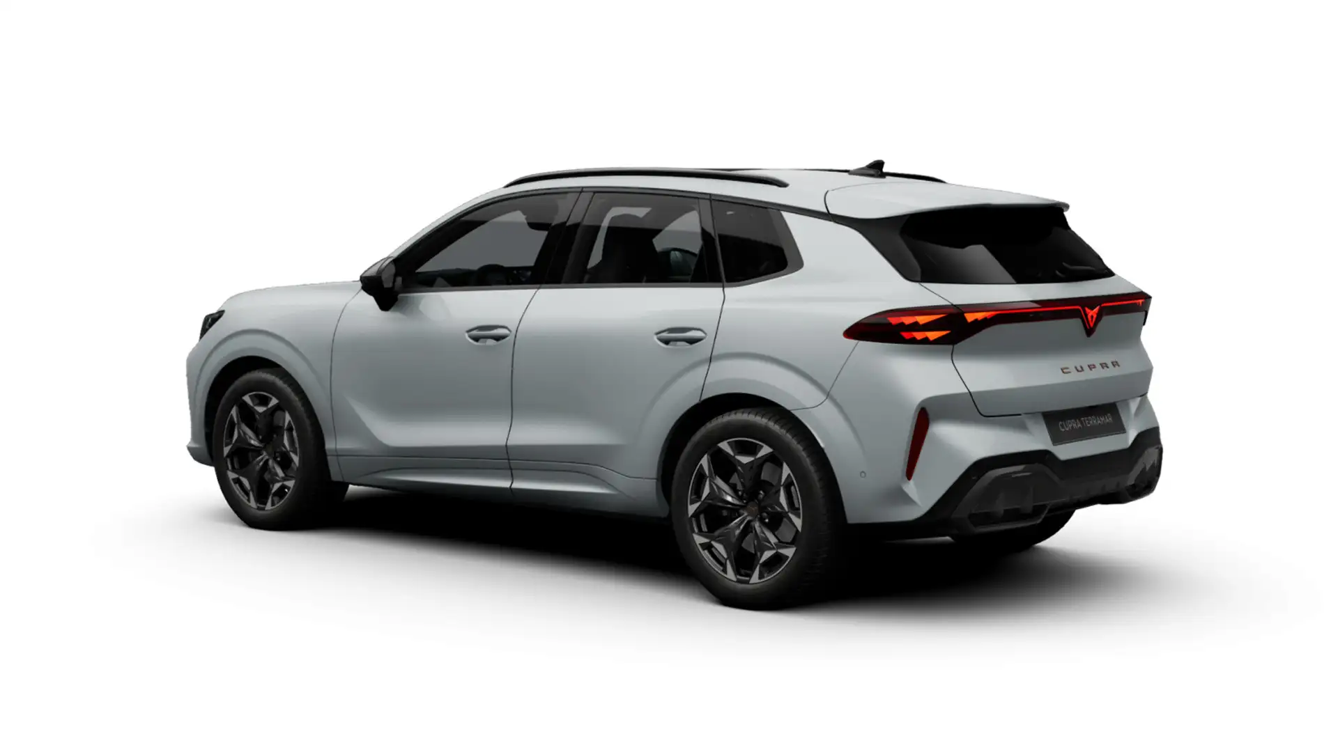 Cupra Terramar VZ conducción