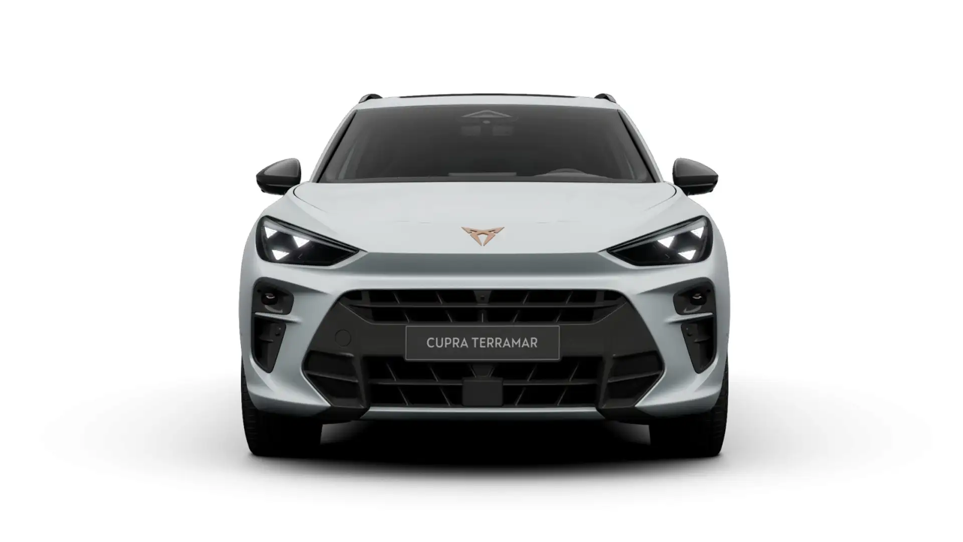 Cupra Terramar de segunda mano