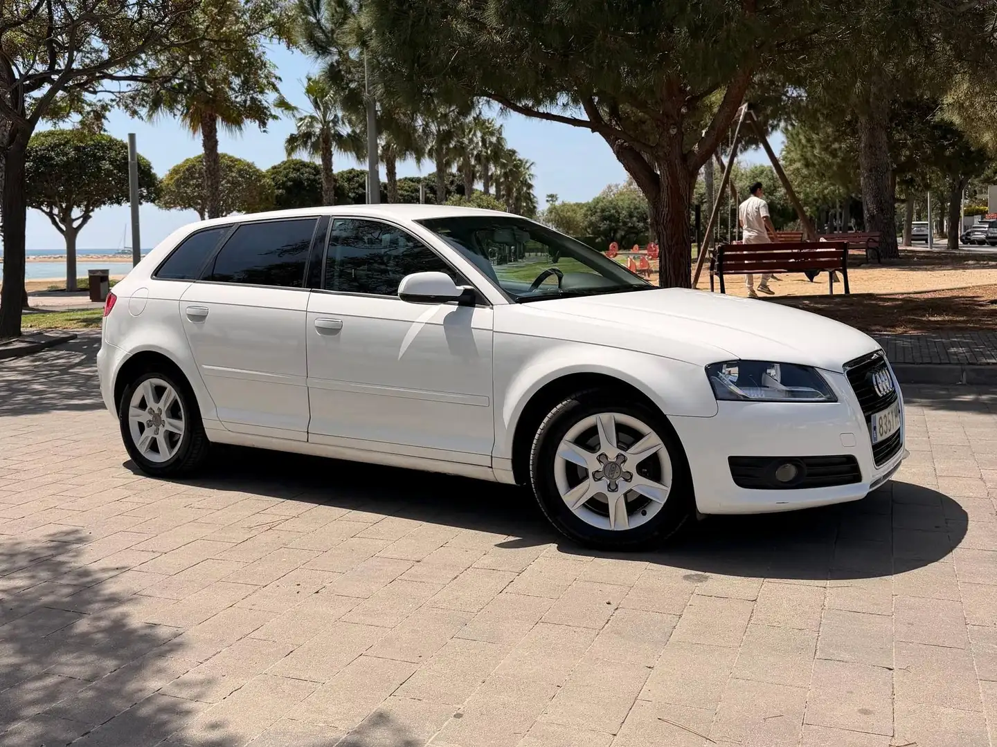 Motor 2.0 TDI CR del Audi A3 8P
